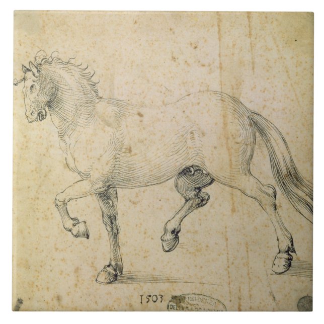 Cavalo, 1503 (caneta e tinta no papel) (Frente)