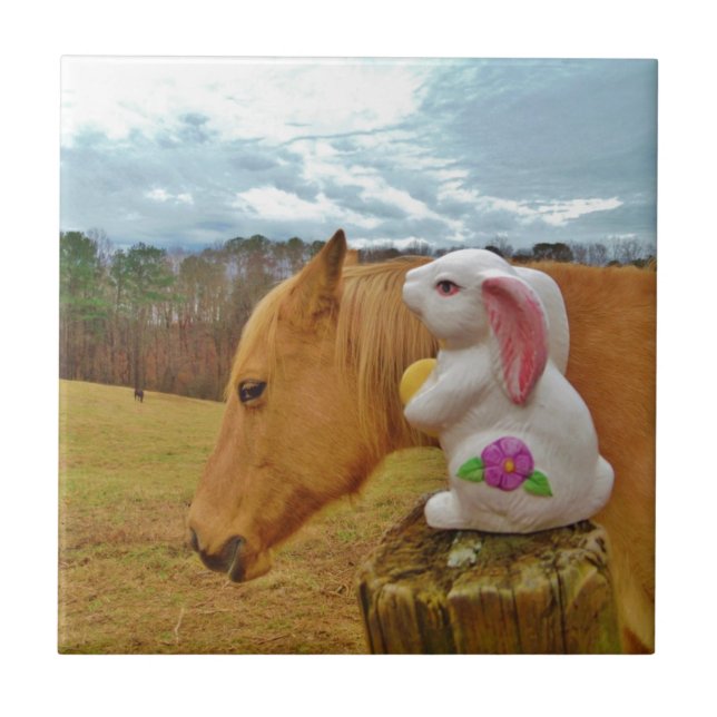 Cavalo Amarelo, Coelho Primavera (Frente)