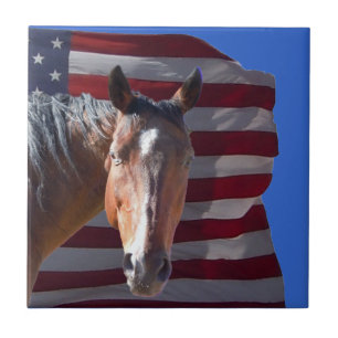 Cavalo americano e bandeira de um quarto -