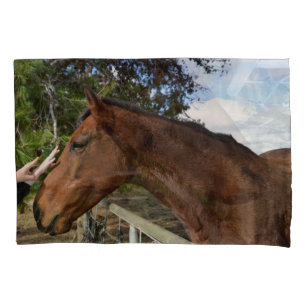 Cavalo Amigo Para Sempre,
