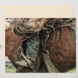 Cavalo Andando Rodeio Ocidental