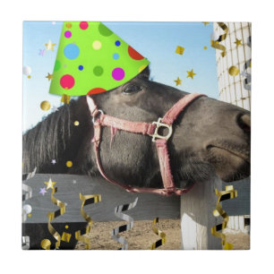 Cavalo-animal de festa