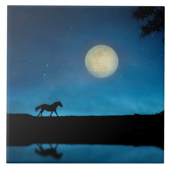 Cavalo bonito e Lua com Céu Azul (Frente)
