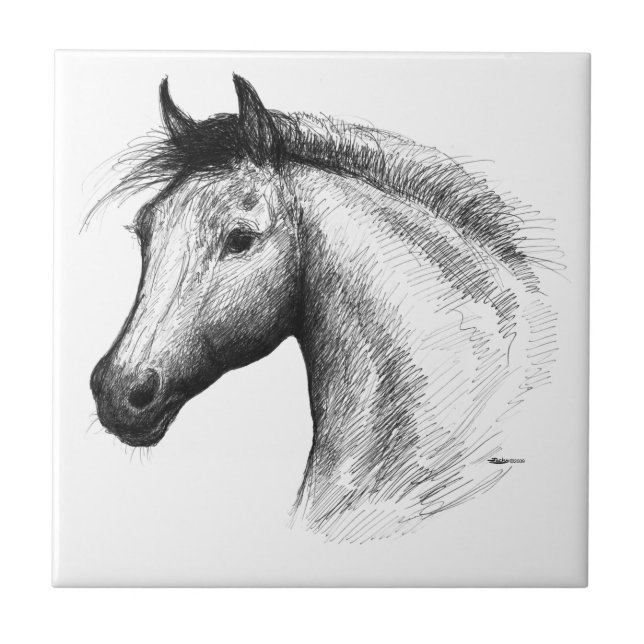Cavalo: Branco (Frente)