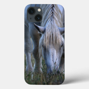 Cavalo branco