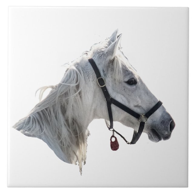 Cavalo Branco (Frente)