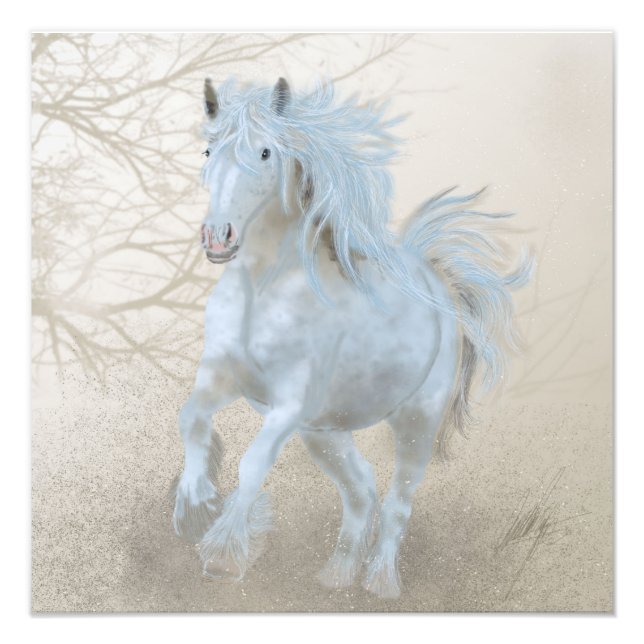 Cavalo Branco - Alargamento de Fotos (Frente)