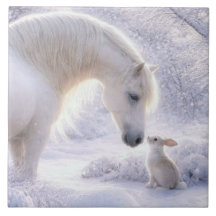 Cavalo Branco Lindo e Coelho na Neve
