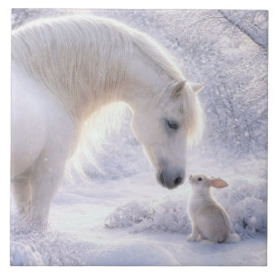 Cavalo Branco Lindo e Coelho na Neve