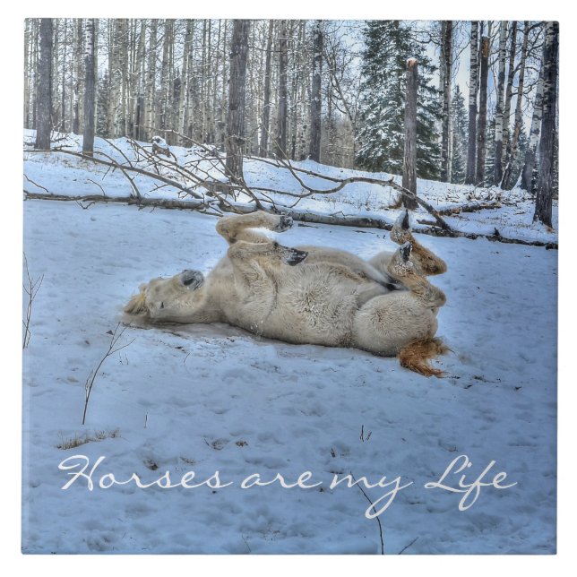 Cavalo Branco Rolando na neve do inverno (Frente)