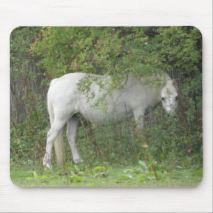 Cavalo branco tímido Mousepad