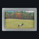 Cavalo castanho e branco,árvores de outono,céu azu<br><div class="desc">Cavalo castanho e branco,  árvores de outono,  céu azul Foto de Sandy Closs "gifts for cavalo amantes ""i love cavalo""cavalo marrom""cavalo,  cavalos,  "presentes de cavalo""animais de exploração,  pônei,  pôneis""amantes de cavalos"</div>