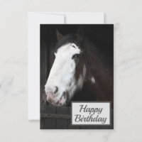 Cavalo Castanho no Cartão de Aniversário Feliz da