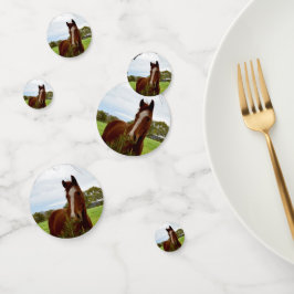 Cavalo Cheirando Uma Árvore Banksia,