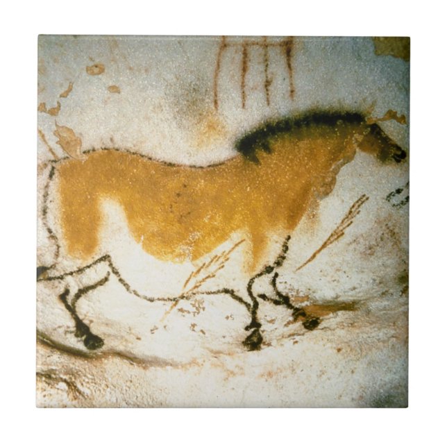 Cavalo Chinês,Pinturas Rupestres da Caverna de Las (Frente)
