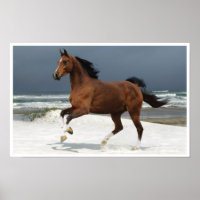 Cavalo Corrente na Impressão de Arte de Praia
