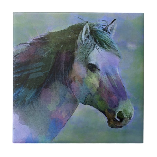 Cavalo da Aquarela (Frente)
