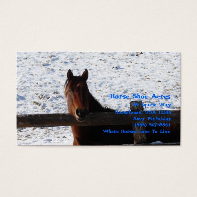 Cavalo da Baía de Inverno Supera Cerca de Neve (Frente)