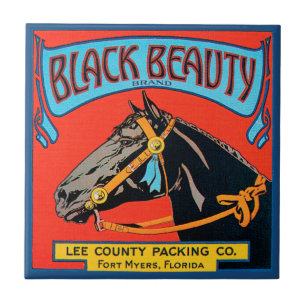 Cavalo da Bela Negra em Fundo Vermelho