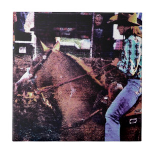 Cavalo da vaqueira e da pintura