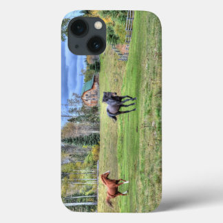 Cavalo de Castanheiro Perseguindo um Estalhão Negr