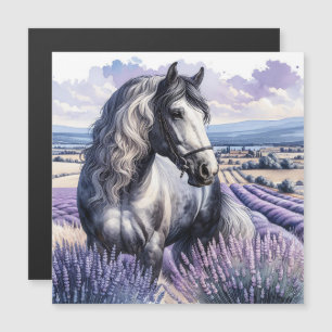 Cavalo de Cinza bonito em Lavanda