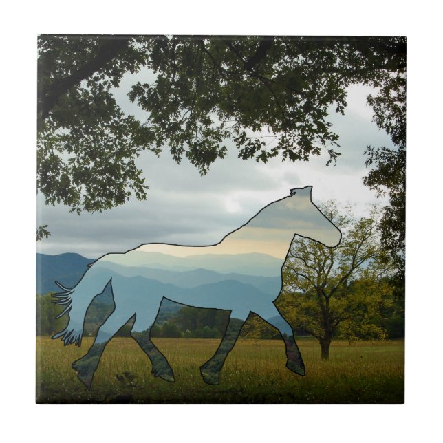 Cavalo de Cordilheira Azul (Frente)