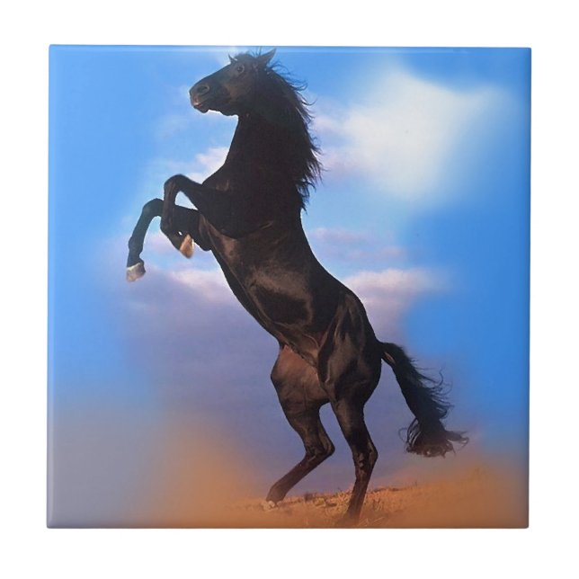 Cavalo de Criação (Frente)