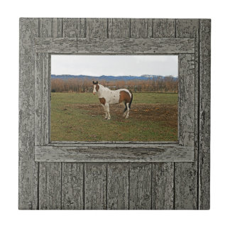 Cavalo de madeira velho da pintura da janela