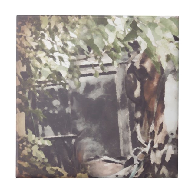 Cavalo de mish (Frente)