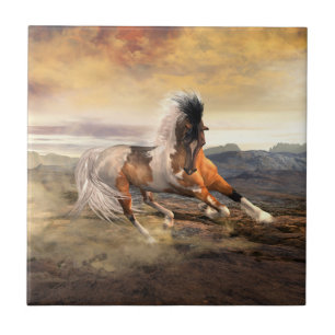 Cavalo de Mustang, Deserto Pintado