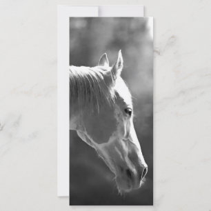 Cavalo de Pop de Arte Preto e Branco