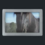 Cavalo de Rascunho Negro Resgatado<br><div class="desc">Foto de Cavalo Negro resgatado por Sandy Closs Personalize com seu próprio nome ou texto para criar um presente gentil. "cavalo amante" "presente de cavalo", "presente de cavalo", "presentes para amantes de cavalos ", "eu amo cavalos", "cavalo marrom", cavalo, "presentes de cavalo" "animais de exploração ", pônei, pôneis" "amantes de...</div>