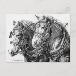 Cavalo de Tração Desenho Cartão Postal