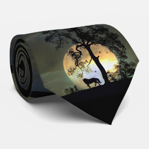 Cavalo Divertido e Gravata de Lua