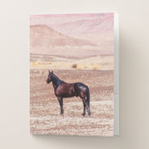 Cavalo do Deserto P8664