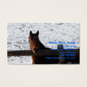 Cavalo do inverno