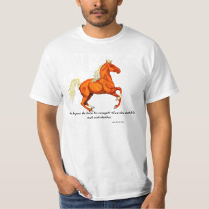 Cavalo do Palomino com camisa da escritura