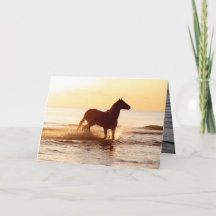 Cavalo do Sol no Cartão de Saudação do Cavalo da Á