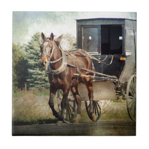 Cavalo e Buggy em Iowa rural