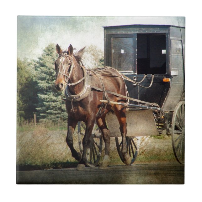 Cavalo e Buggy em Iowa rural (Frente)