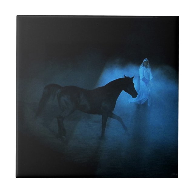 Cavalo e traine árabes (Frente)