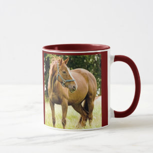 Cavalo (égua) na caneca do campo