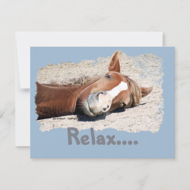 Cavalo Engraçado: Relaxe (Frente)