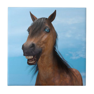 Cavalo Feliz