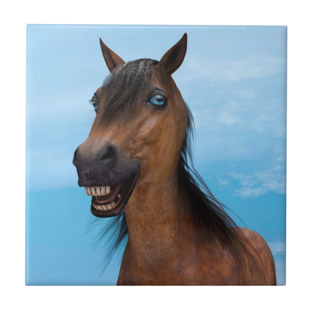 Cavalo Feliz (Frente)