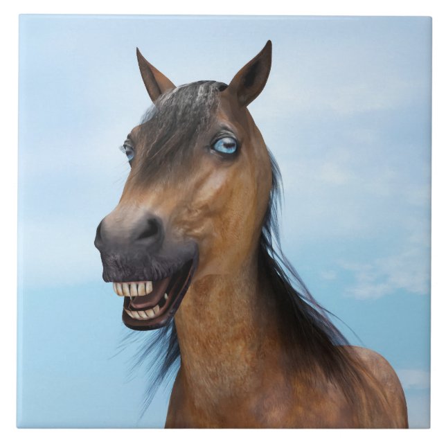 Cavalo Feliz Sorridente da Baía (Frente)