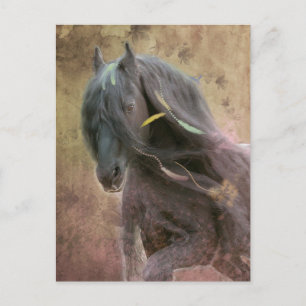 Cavalo Frísio Black Beauty - Cartão Postal
