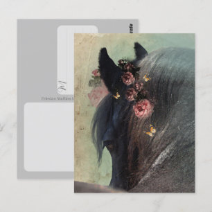 Cavalo Frísio - Cartão Postal