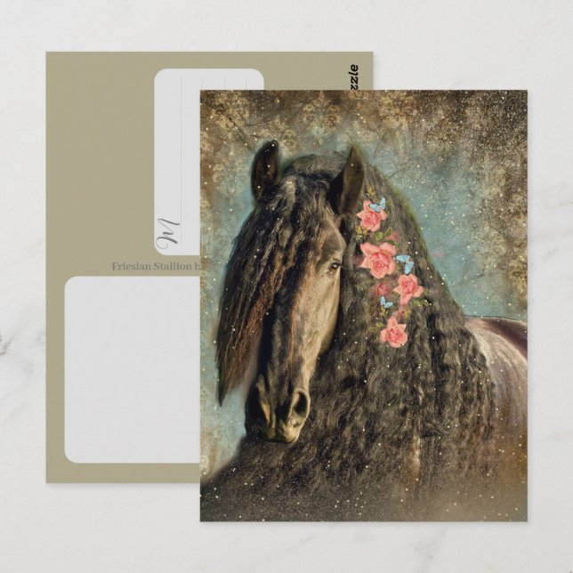 Cavalo Frísio - Cartão Postal (Frente/Verso)